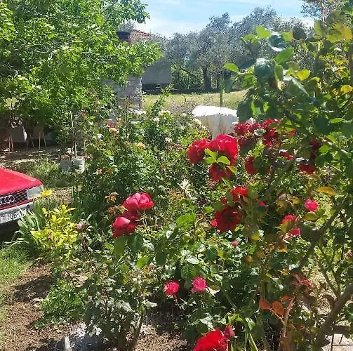 1 Апартаменты